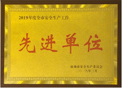 2019年麻城市安全生產(chǎn)委員會(huì)授予:”湖北麻城嘉磊石業(yè)有限公司