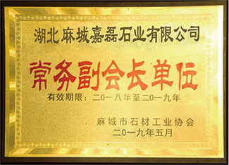 常務(wù)副會(huì)長(zhǎng)單位